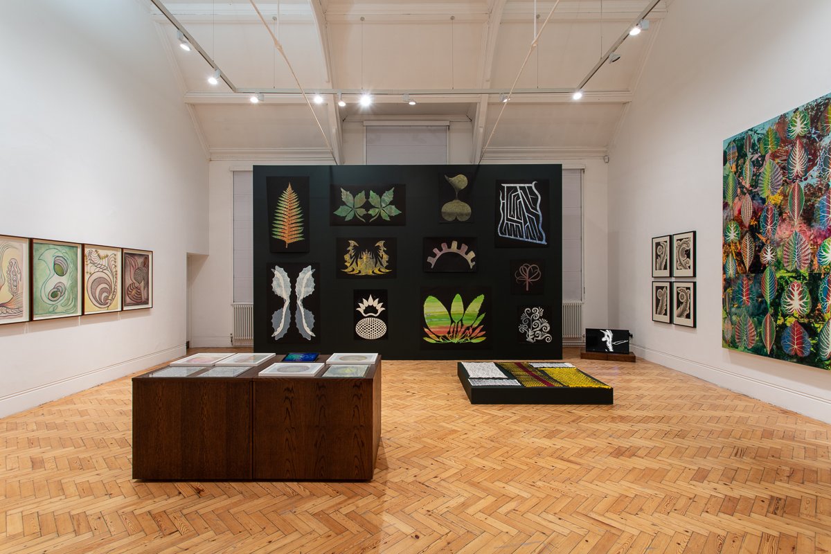 Installation image for The Botanical Mind: Art, Mysticism and The Cosmic Tree, at Camden Art Centre