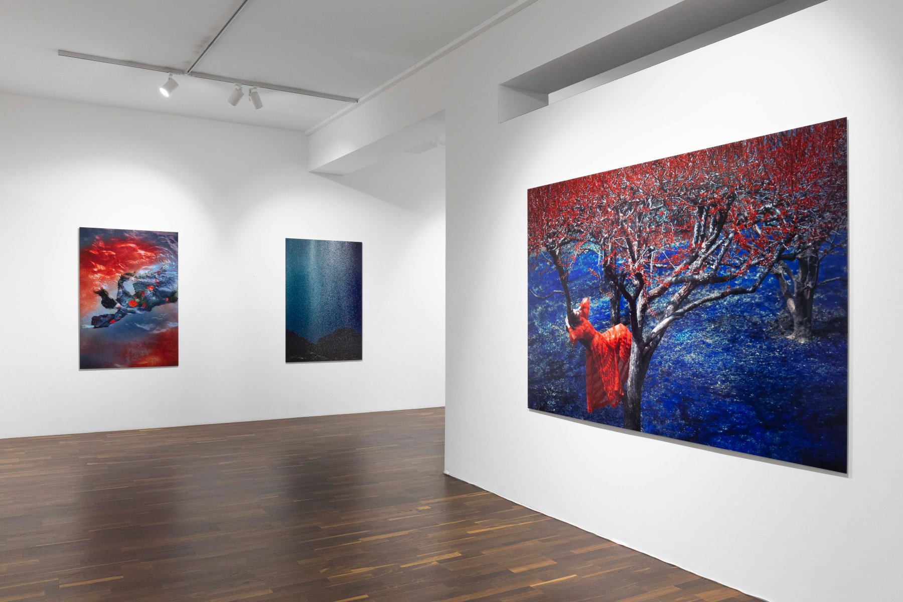 Christophe Guye Galerie