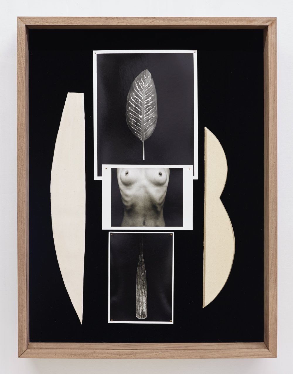 Sheree Hovsepian, Daybook, 2020