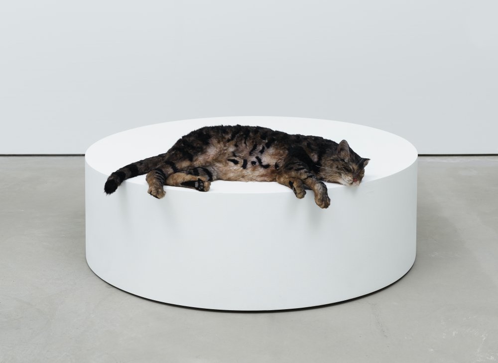 Ryan Gander, Sowing confusion amongst the titles, or The squatters (Tiger meet Hiller’s Lucidity & Intuition: Homage to Gertrude Stein (2011)), 2020