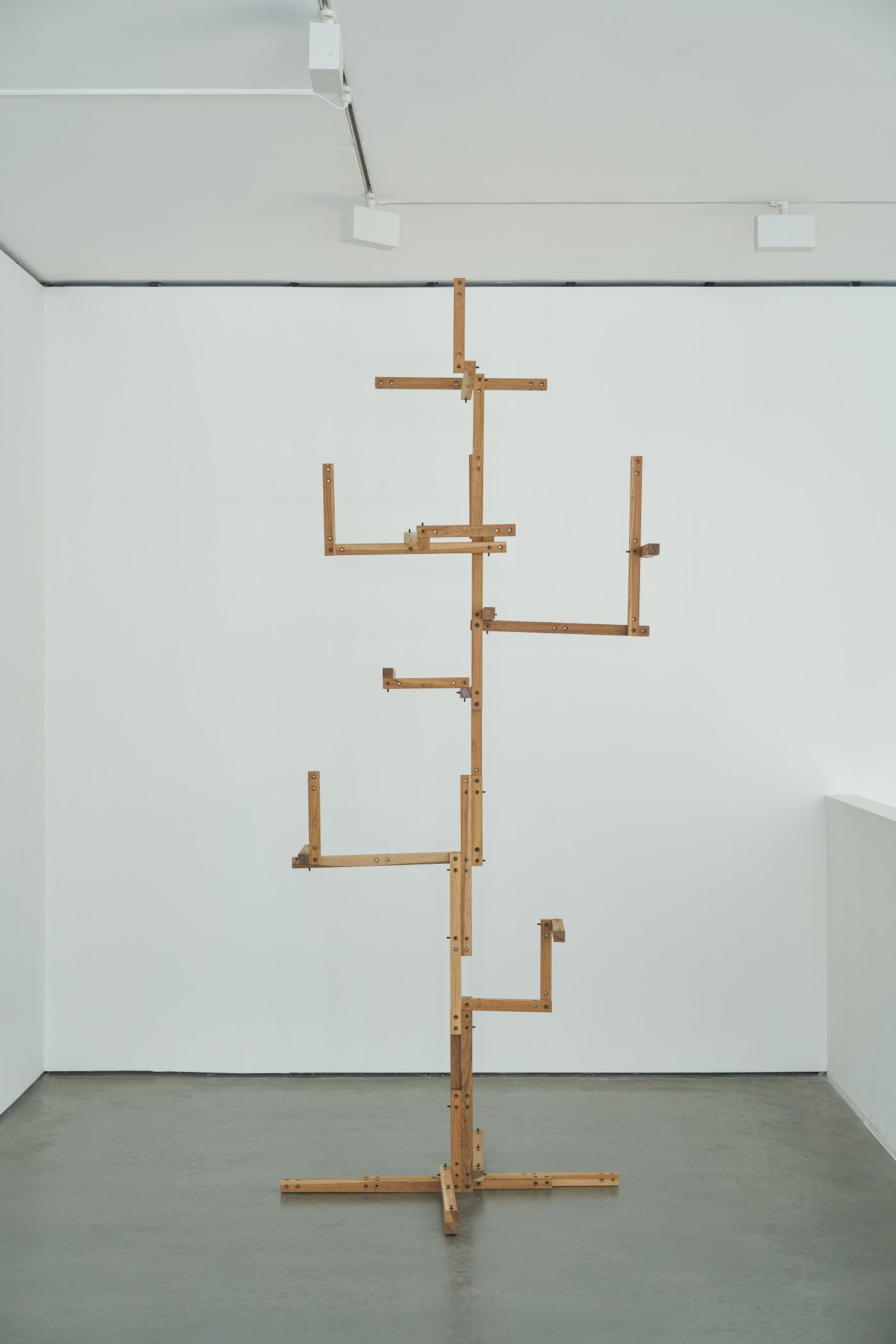 Arbol Portátil, 2020