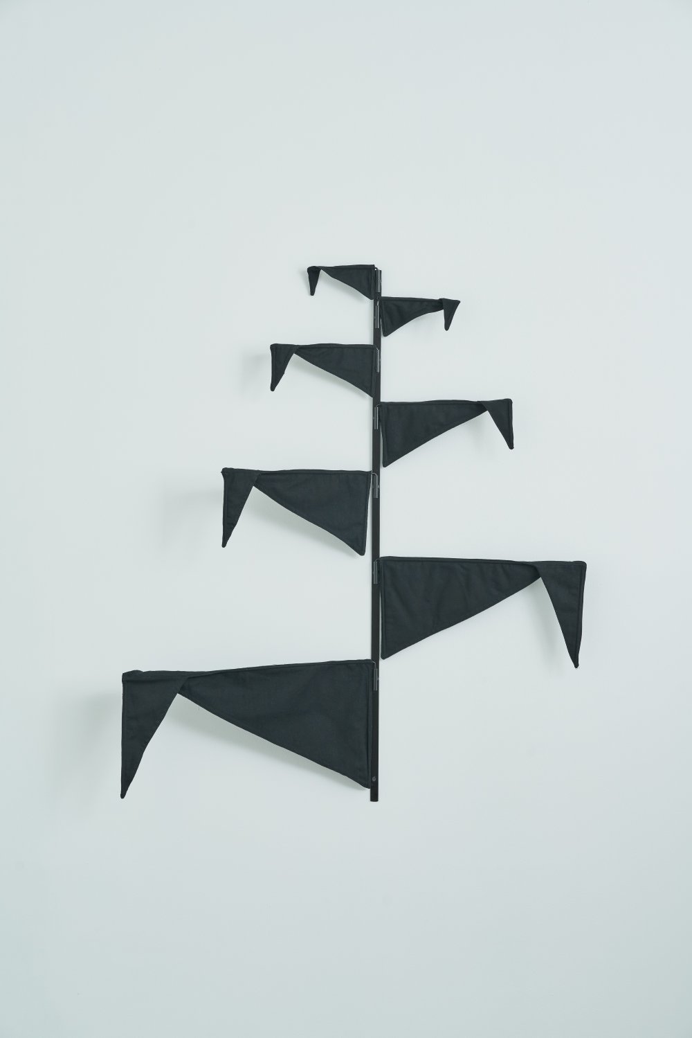 Mateo López, Maiz, 2020