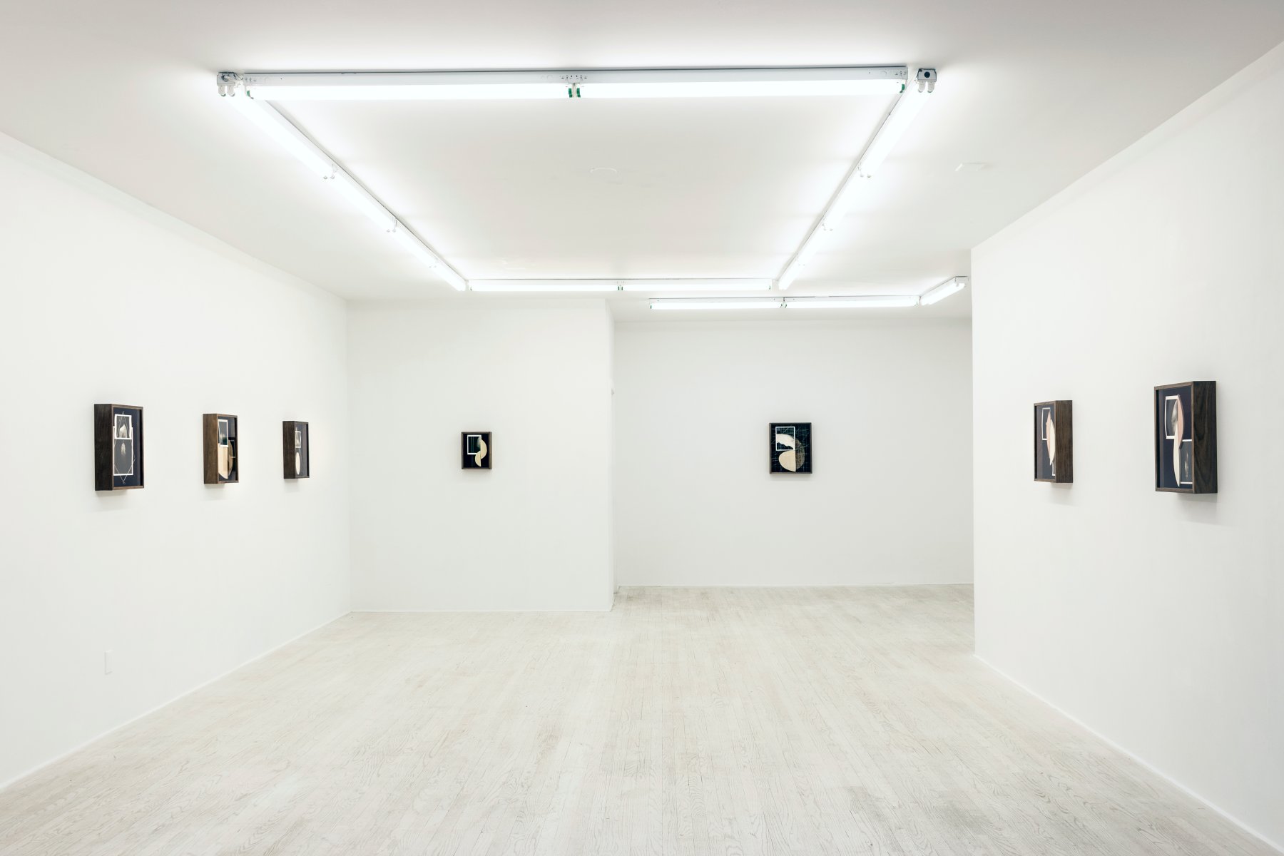 Image for Sheree Hovsepian: Musing, at Halsey McKay Gallery