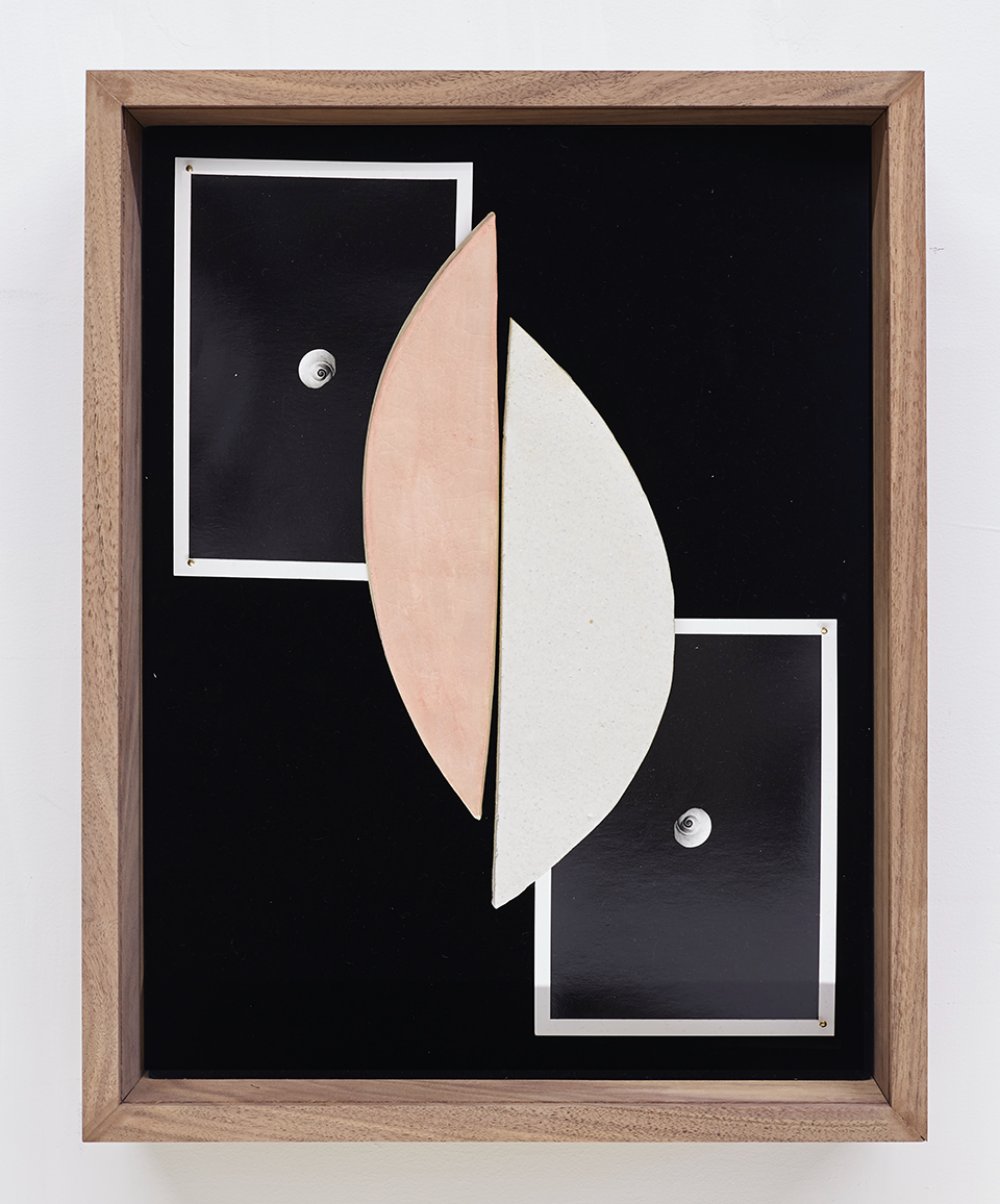 Sheree Hovsepian, Feedback, 2020