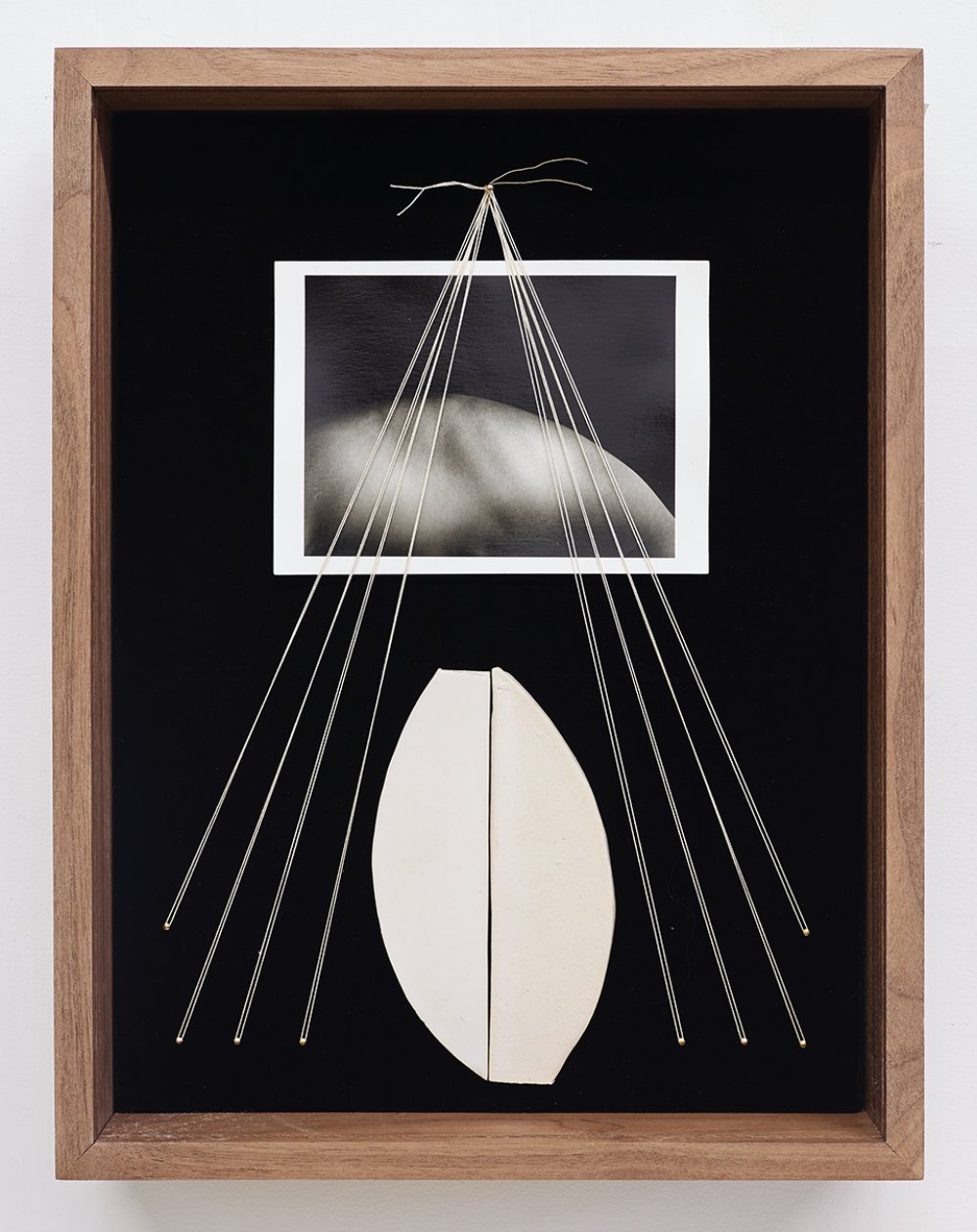 Sheree Hovsepian, Lucida, 2020