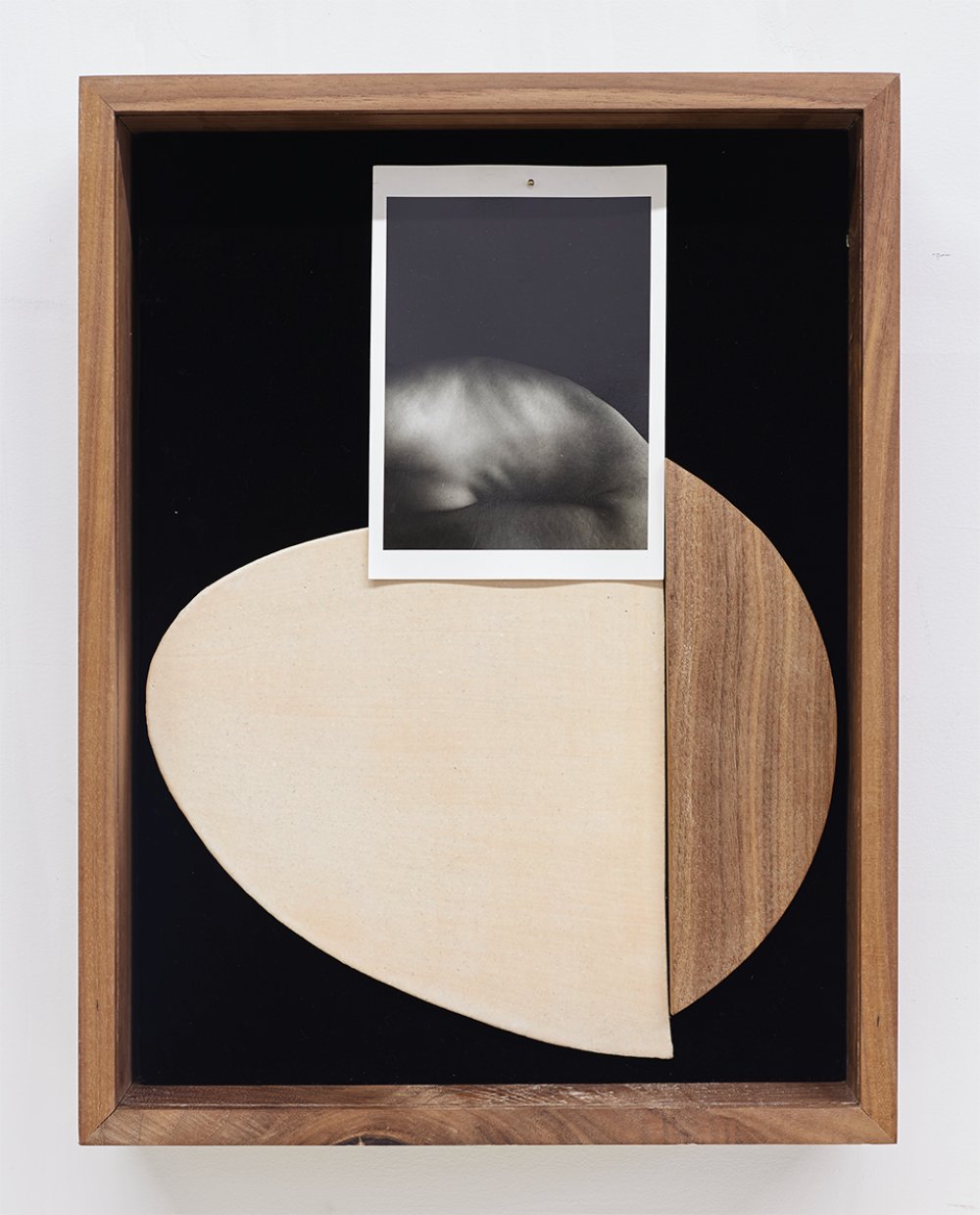 Sheree Hovsepian, Profile, 2020