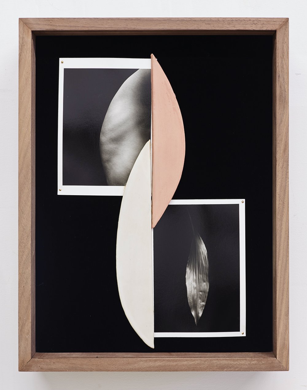 Sheree Hovsepian, Snap Shot, 2020