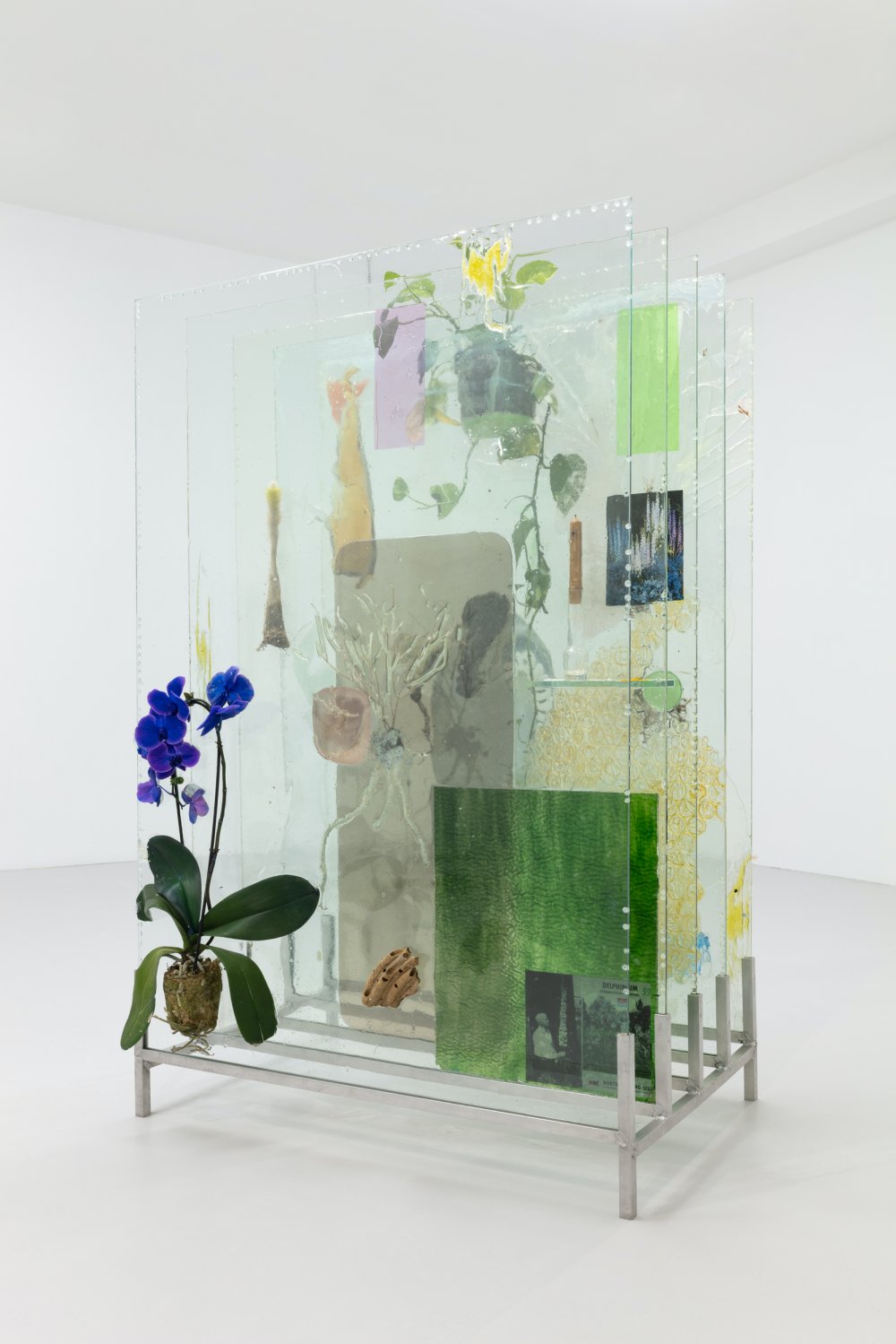 Heidi Norton, The Museum Archive (dedicated to Edward Steichen's Delphiniums, MOMA 1936, Version 3, 2020