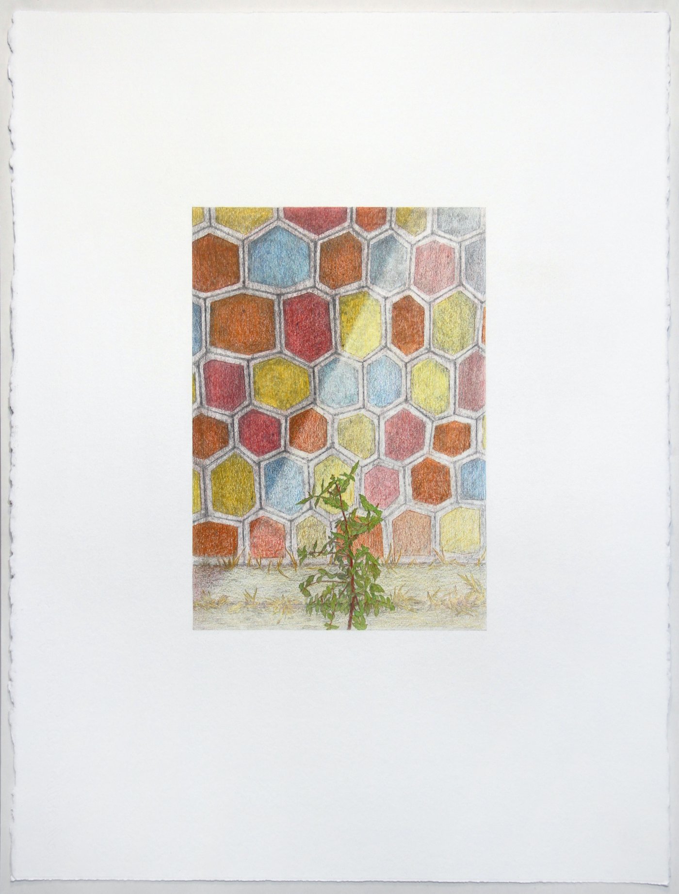 Andrew Browne, Andrew Browne, Andrew Browne, Andrew Browne, Andrew Browne, Andrew Browne, Andrew Browne, Andrew Browne & Andrew Browne, Shoegazer (Keele St #2), 2020