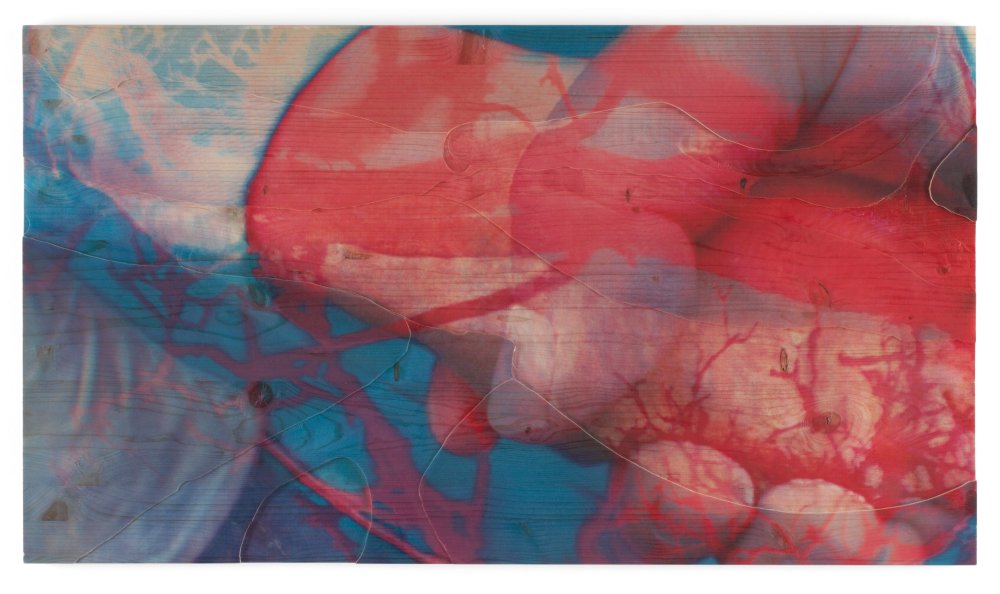 Pipilotti Rist, Untitled 9, 2009