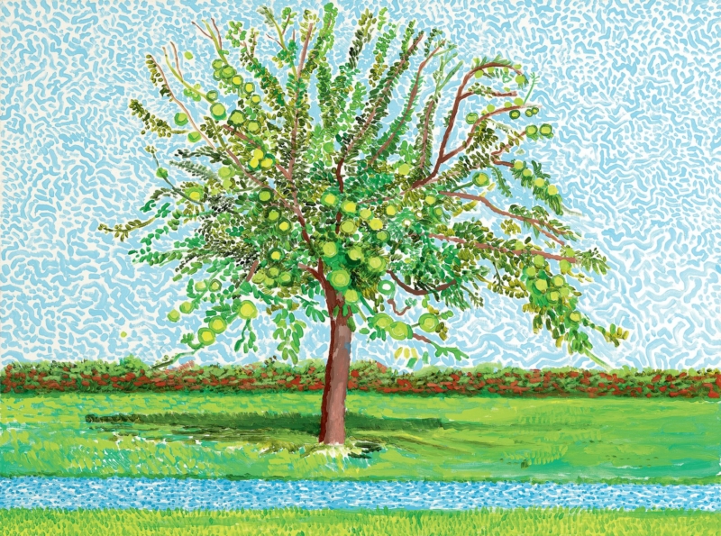 Image for David Hockney: Ma Normandie, at Galerie Lelong