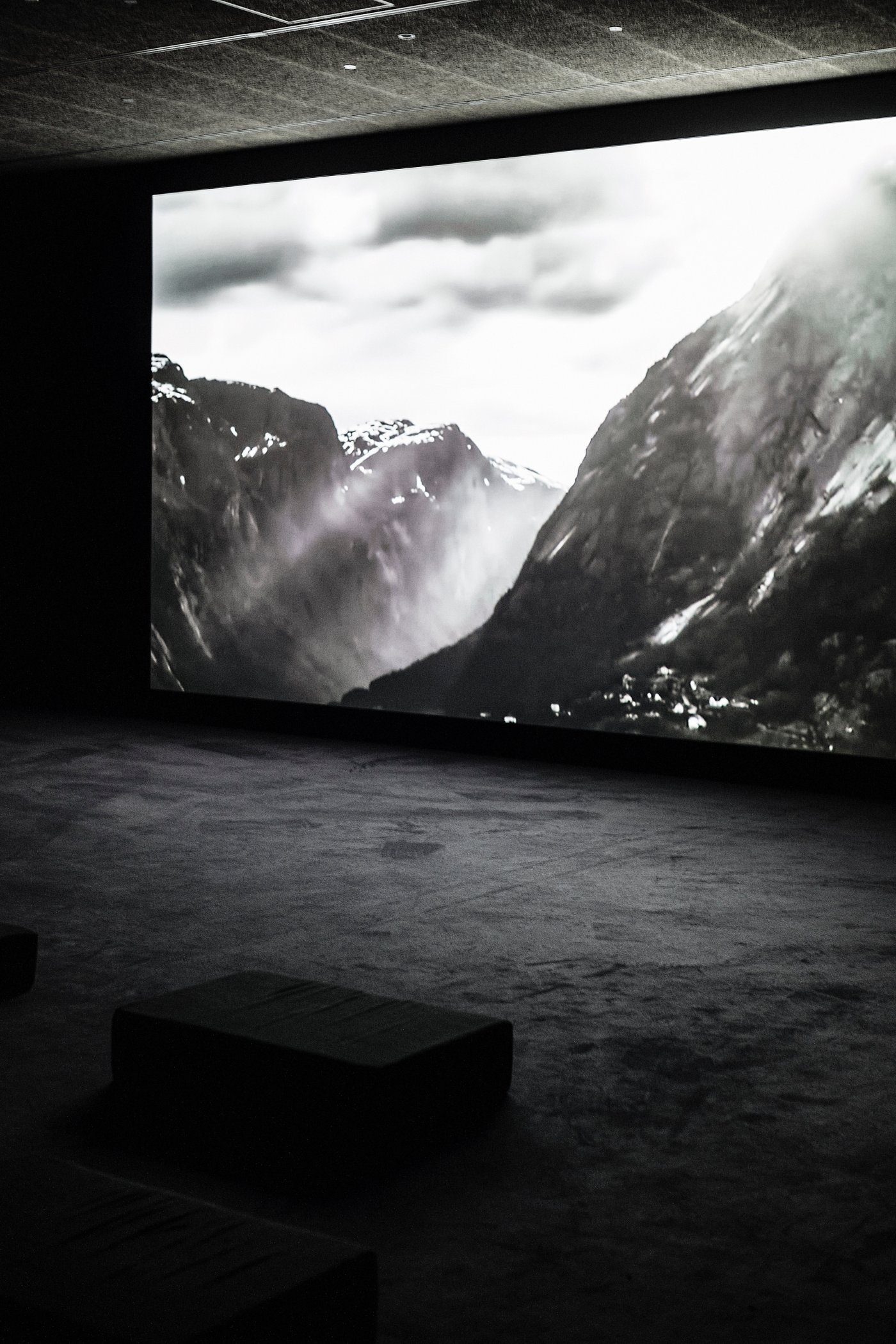 Installation image for Artavazd Pelechian: La Nature, at Fondation Cartier