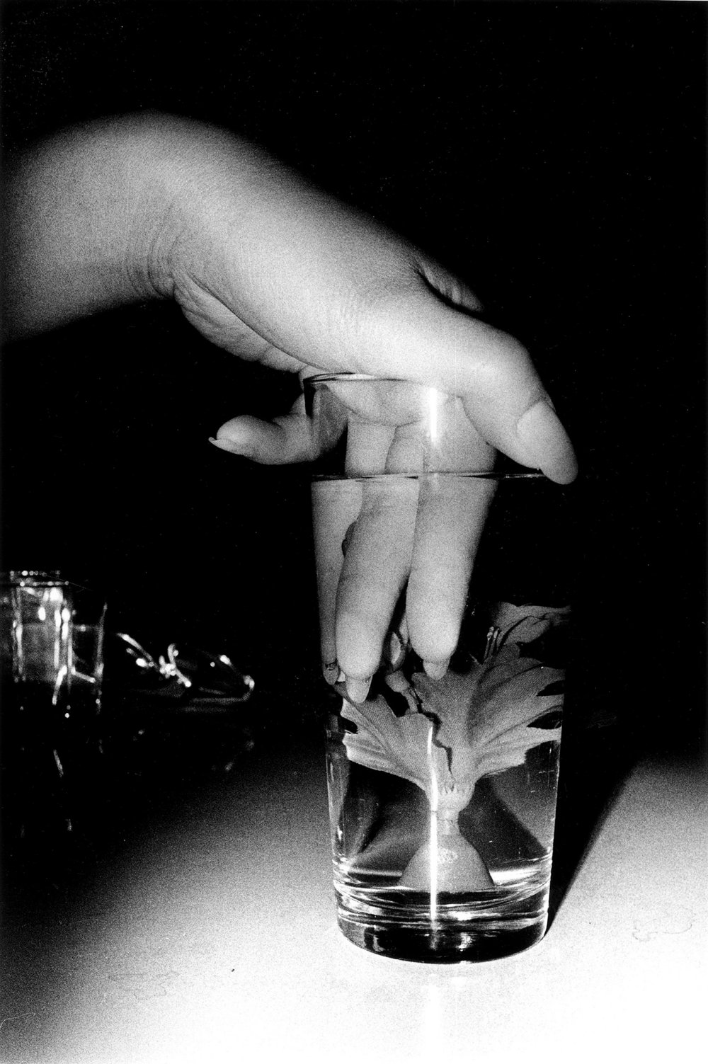 Daido Moriyama, Water Flower, 1990, from the series 