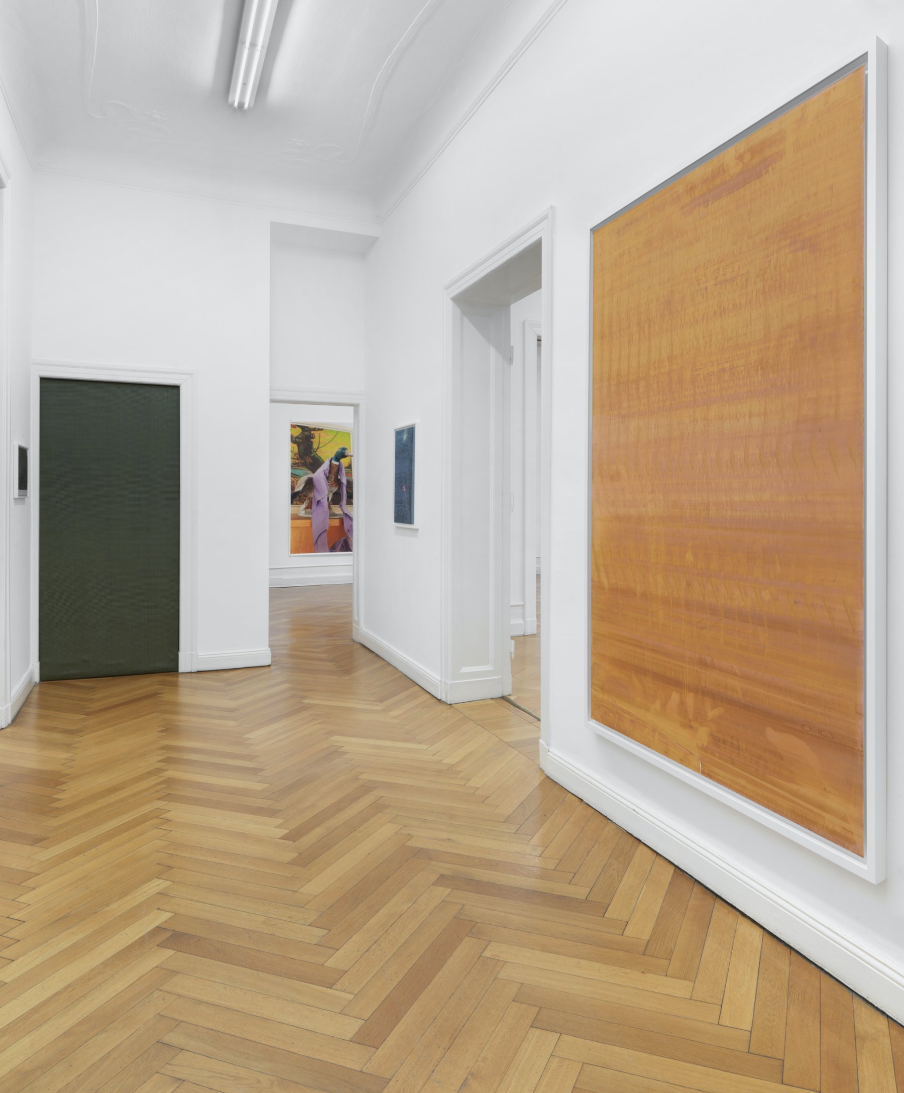 Image for Wolfgang Tillmans, at Galerie Buchholz
