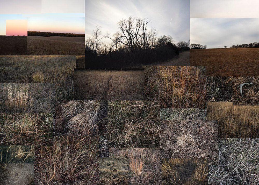 Terry Evans, Terry Evans, Terry Evans, Terry Evans, Terry Evans, Terry Evans, Terry Evans, Terry Evans, Terry Evans, Terry Evans, Terry Evans, Terry Evans, Terry Evans, Terry Evans & Terry Evans, Fent's Prairie, near Salina, Kansas, Winter, 2019
