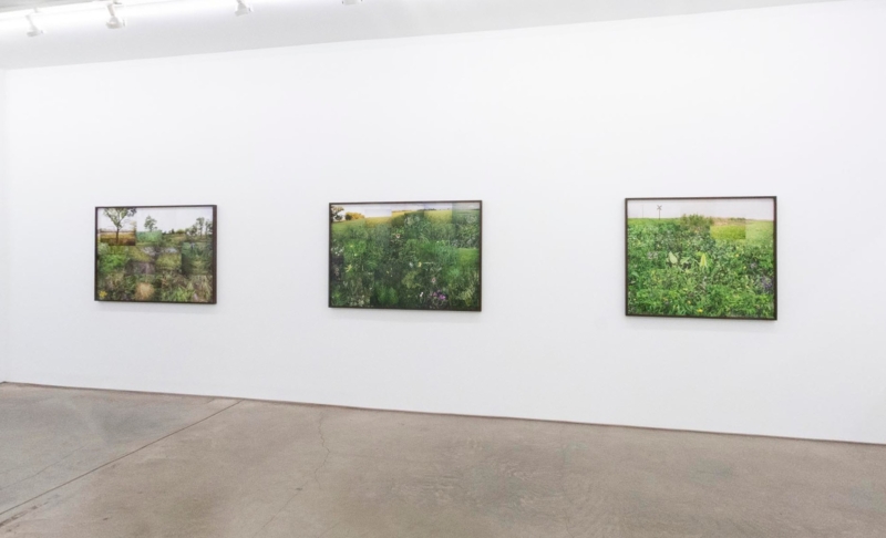 Image for Terry Evans: Ancient Prairies, at Yancey Richardson Gallery