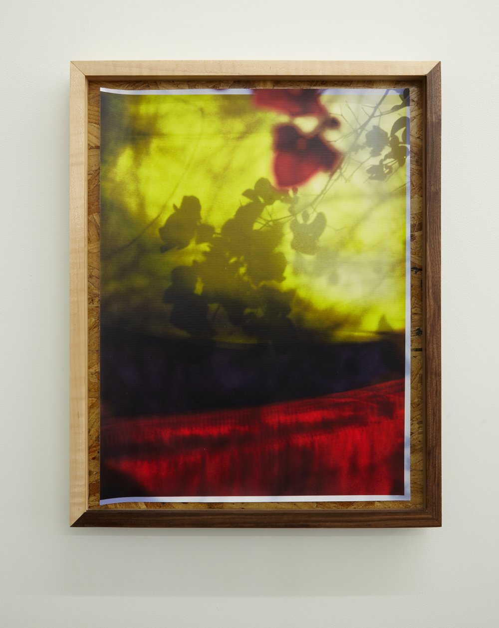 David Alekhuogie, LA convention center 34.0403° N, 118.2696° W, 2018