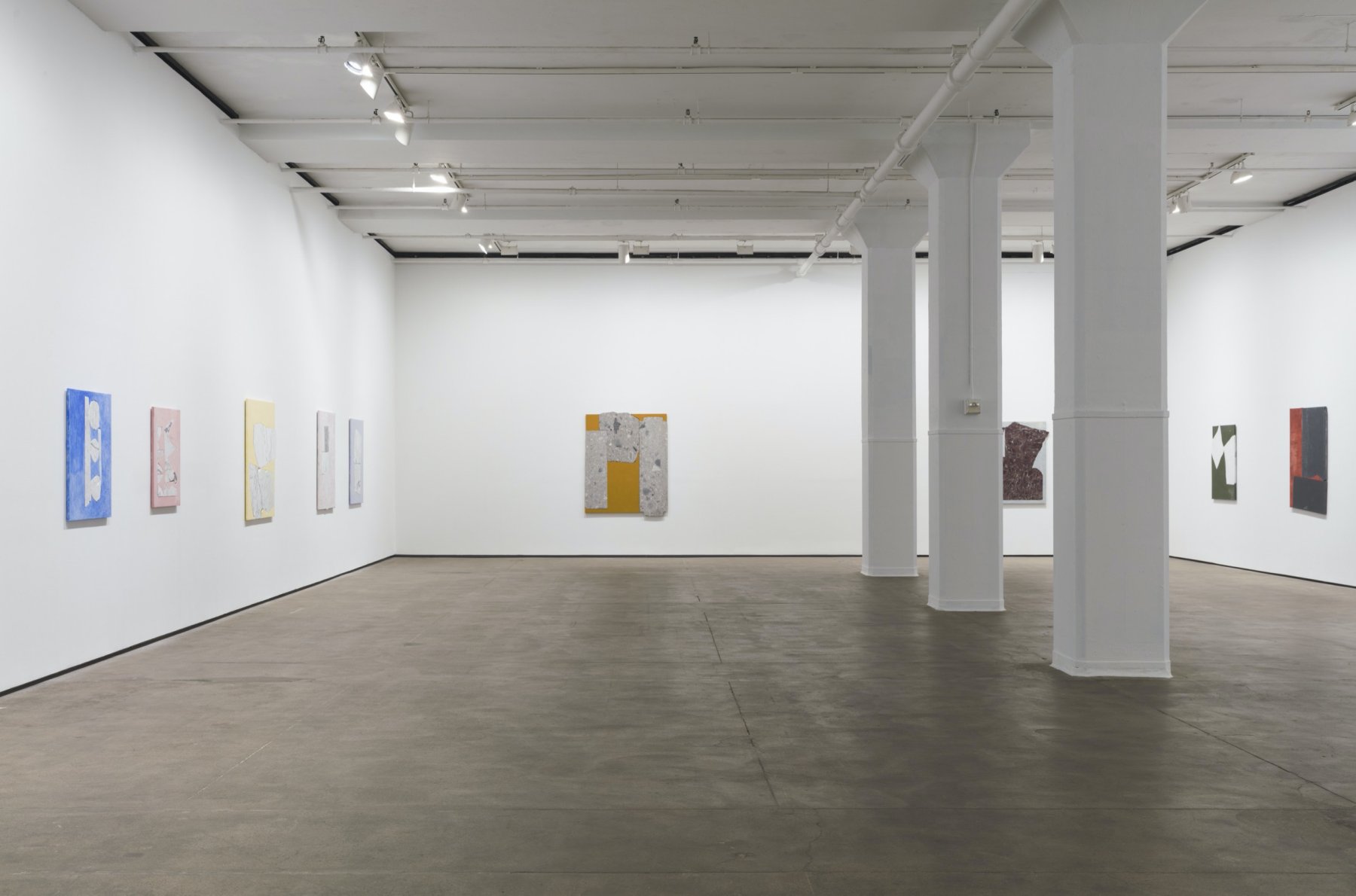 Image for Sam Moyer: Tone, at Sean Kelly Gallery