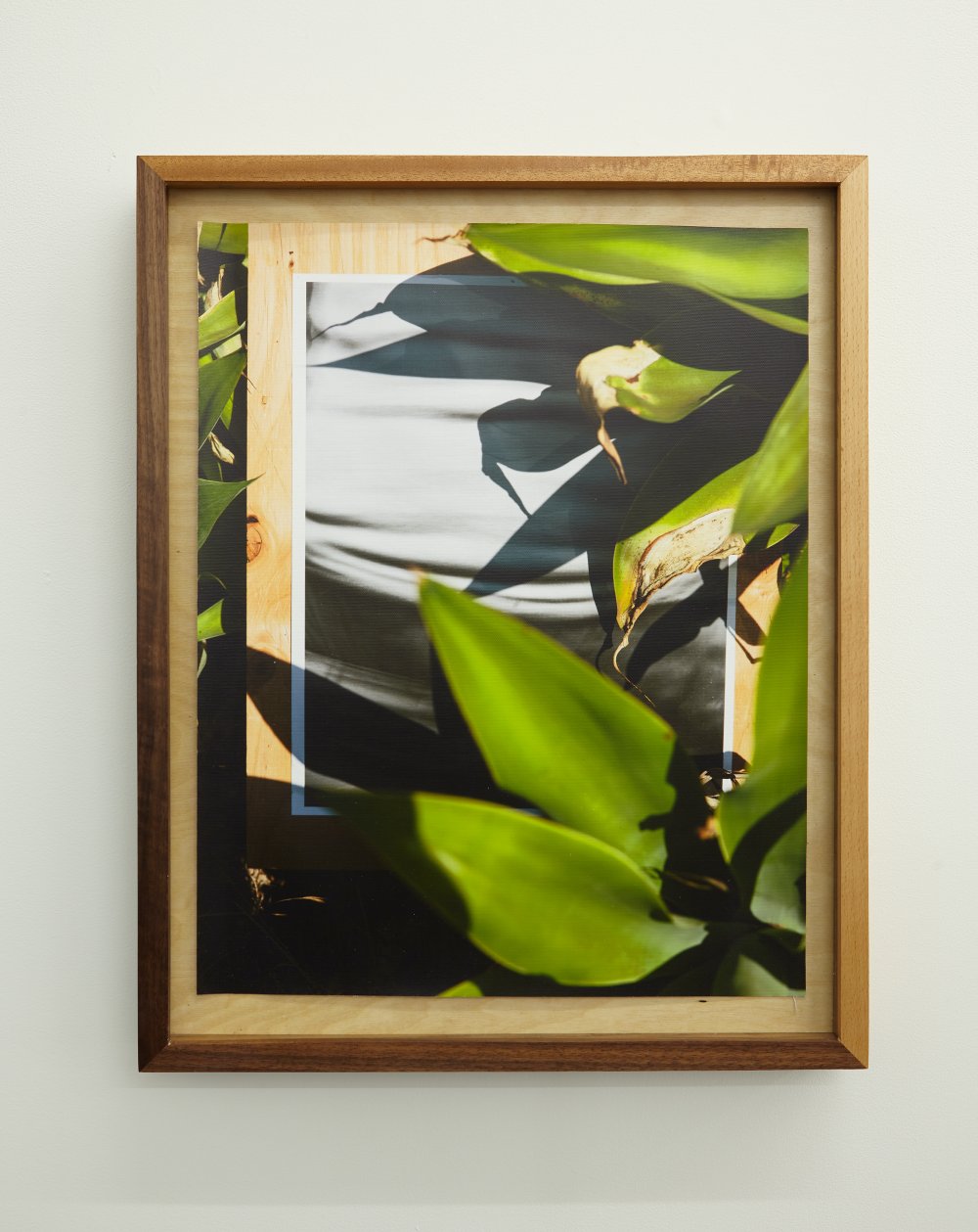 compton cvs 33.8958° N, 118.2201° W, 2018