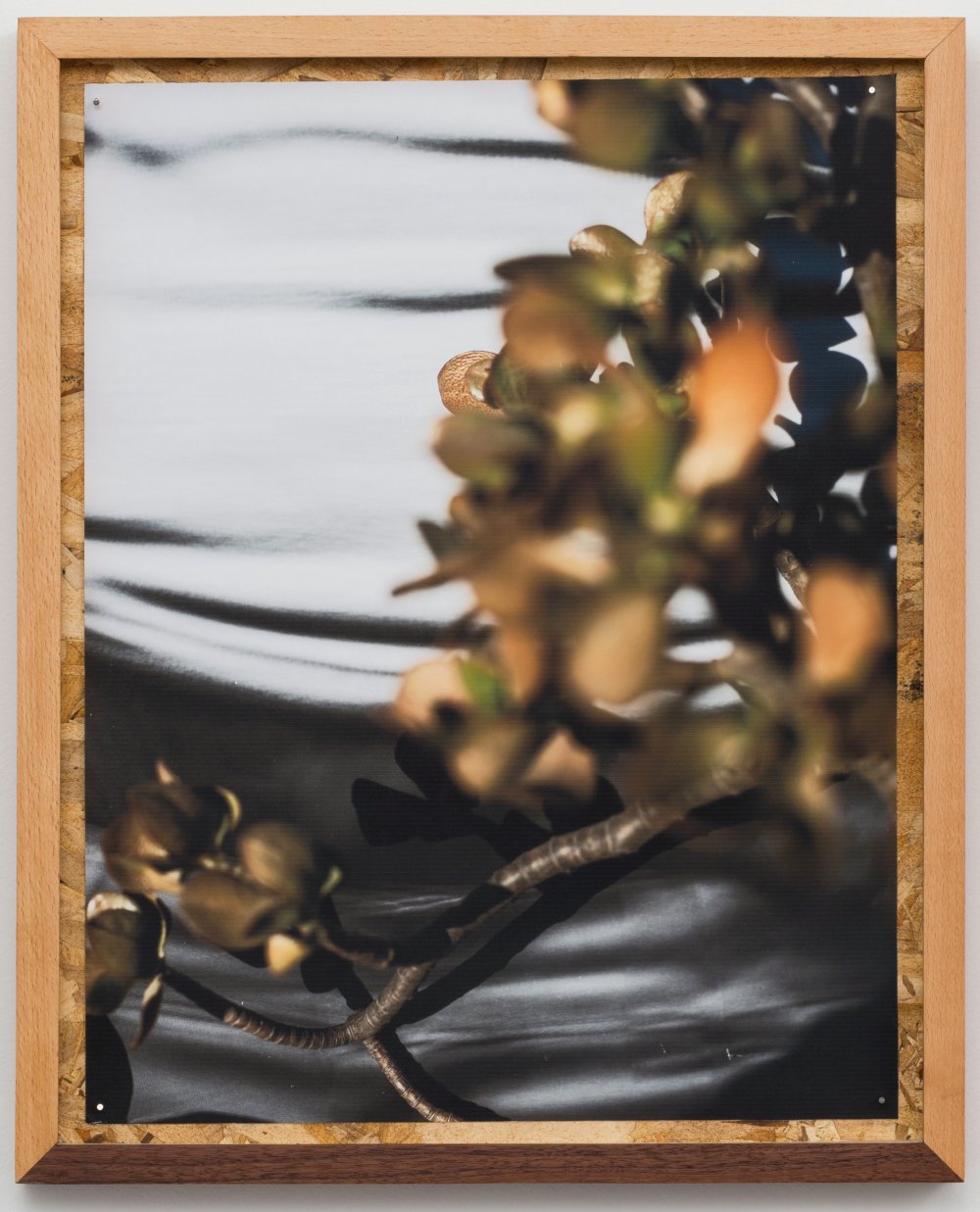 David Alekhuogie, echo park 34.0782° N, 118.2606° W, 2018