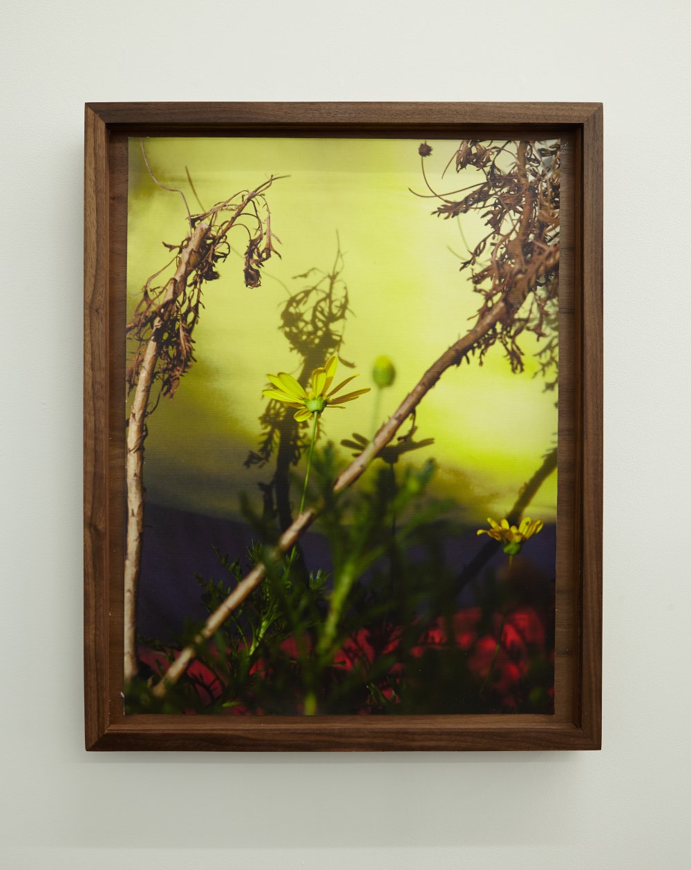 David Alekhuogie, florence and normandie chevron 33.9745° N, 118. 3006° W, 2018