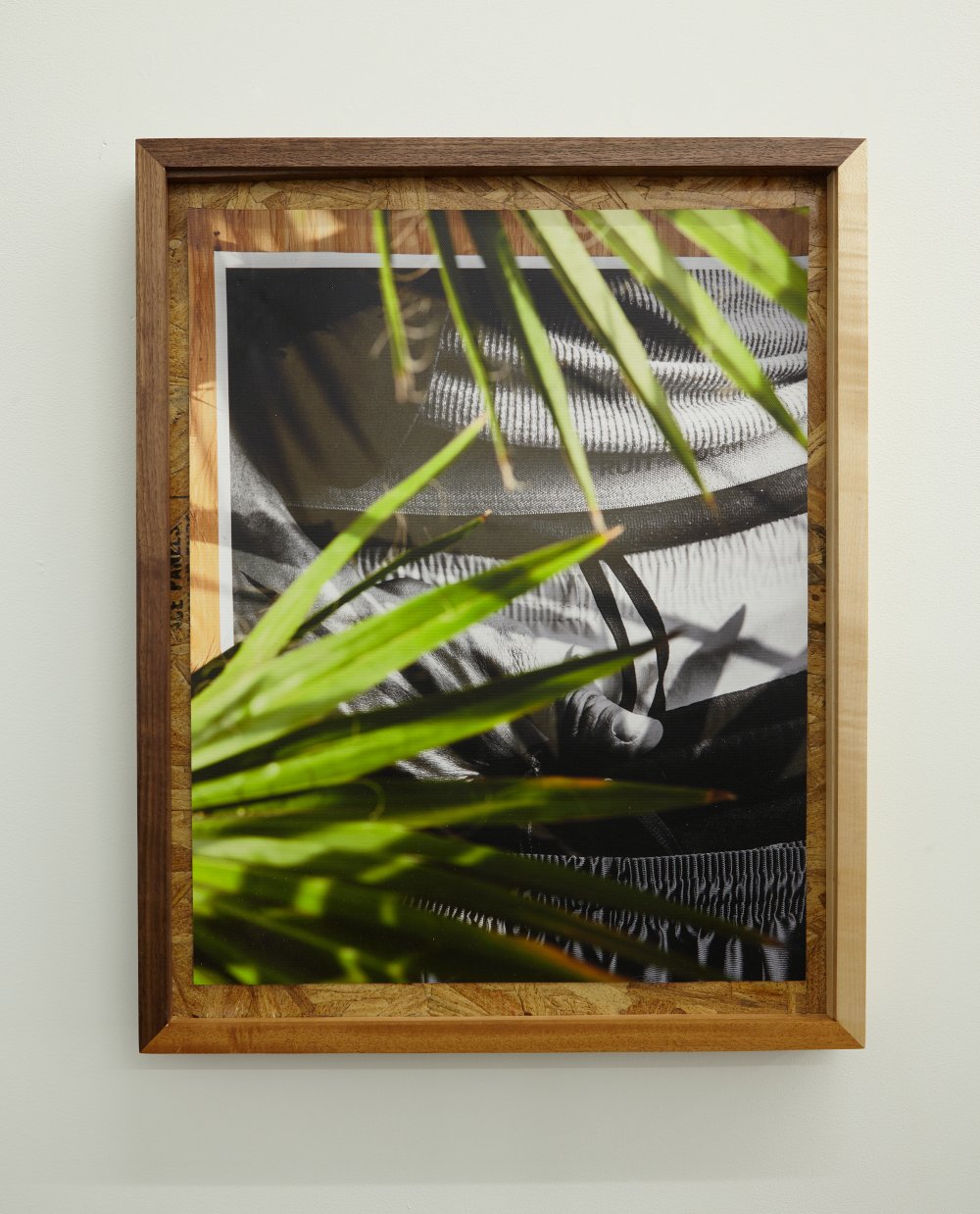 David Alekhuogie, inglewood, CA 33.7701° N, 118.1937° W, 2018