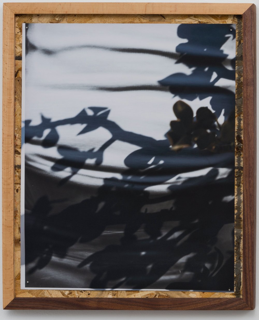 David Alekhuogie, rancho cucamonga 34.1064° N, 117.5931° W, 2018