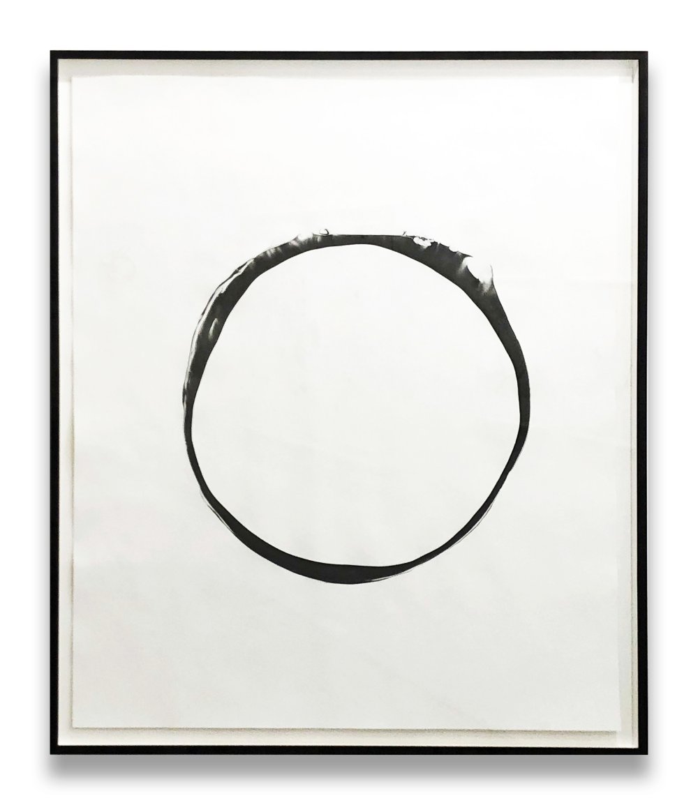 Franziska Furter, Corona II, 2012
