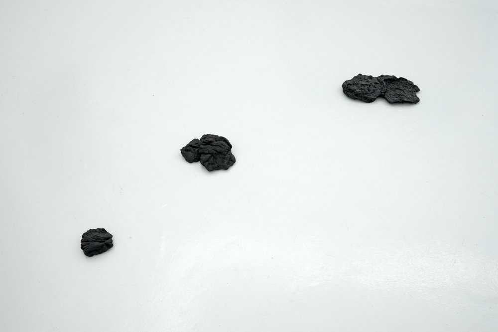 Not Vital, (Mongolian) Cow Dung, 1990/2009