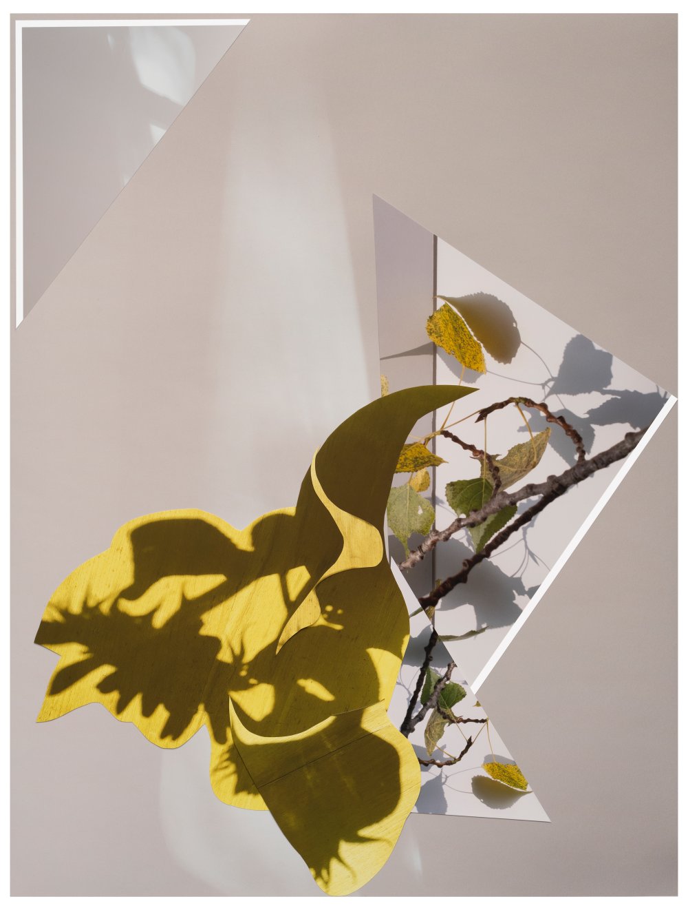 Sandi Haber Fifield, BE20_355, 2020