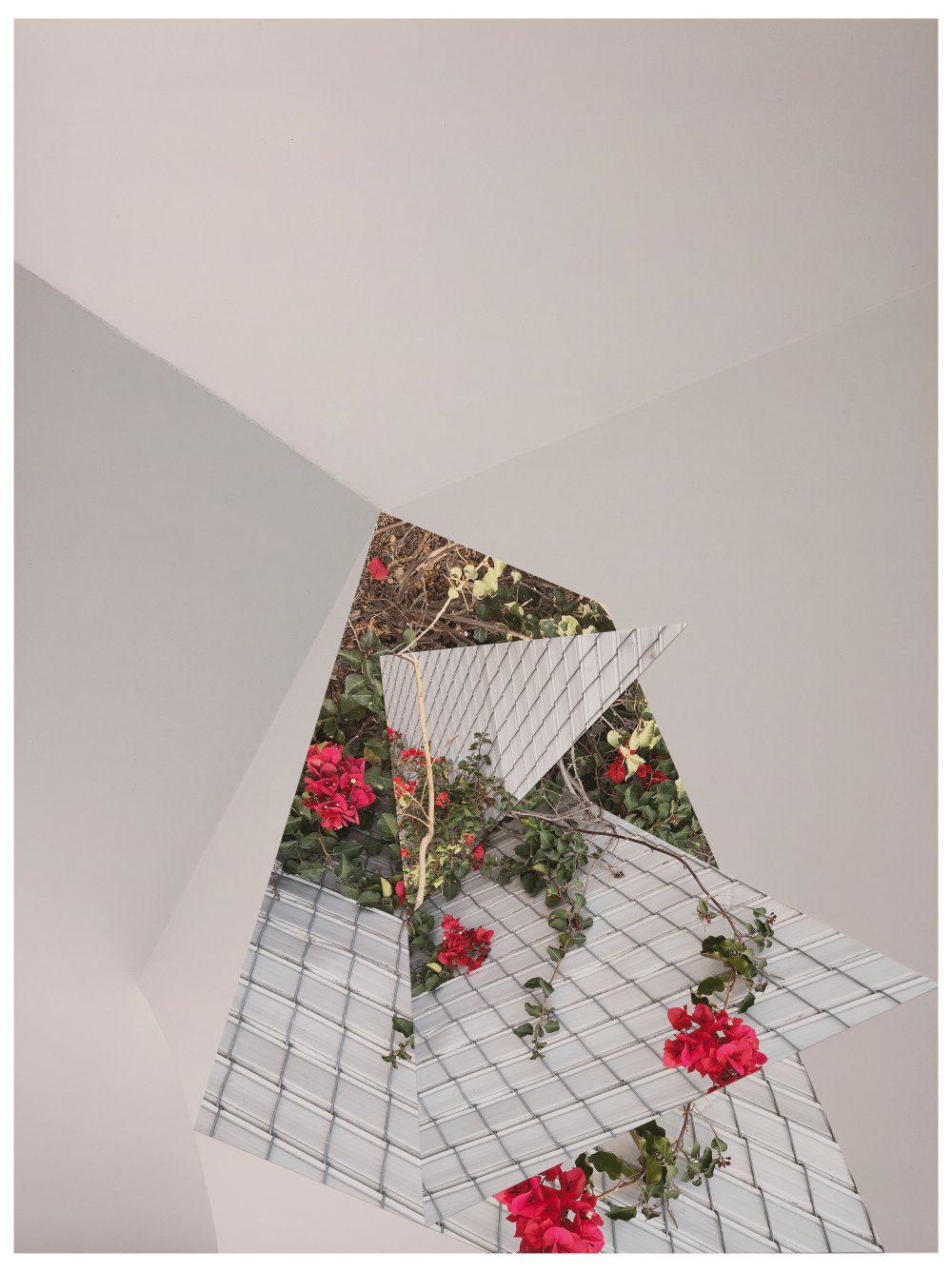 Sandi Haber Fifield, BE20_362, 2020