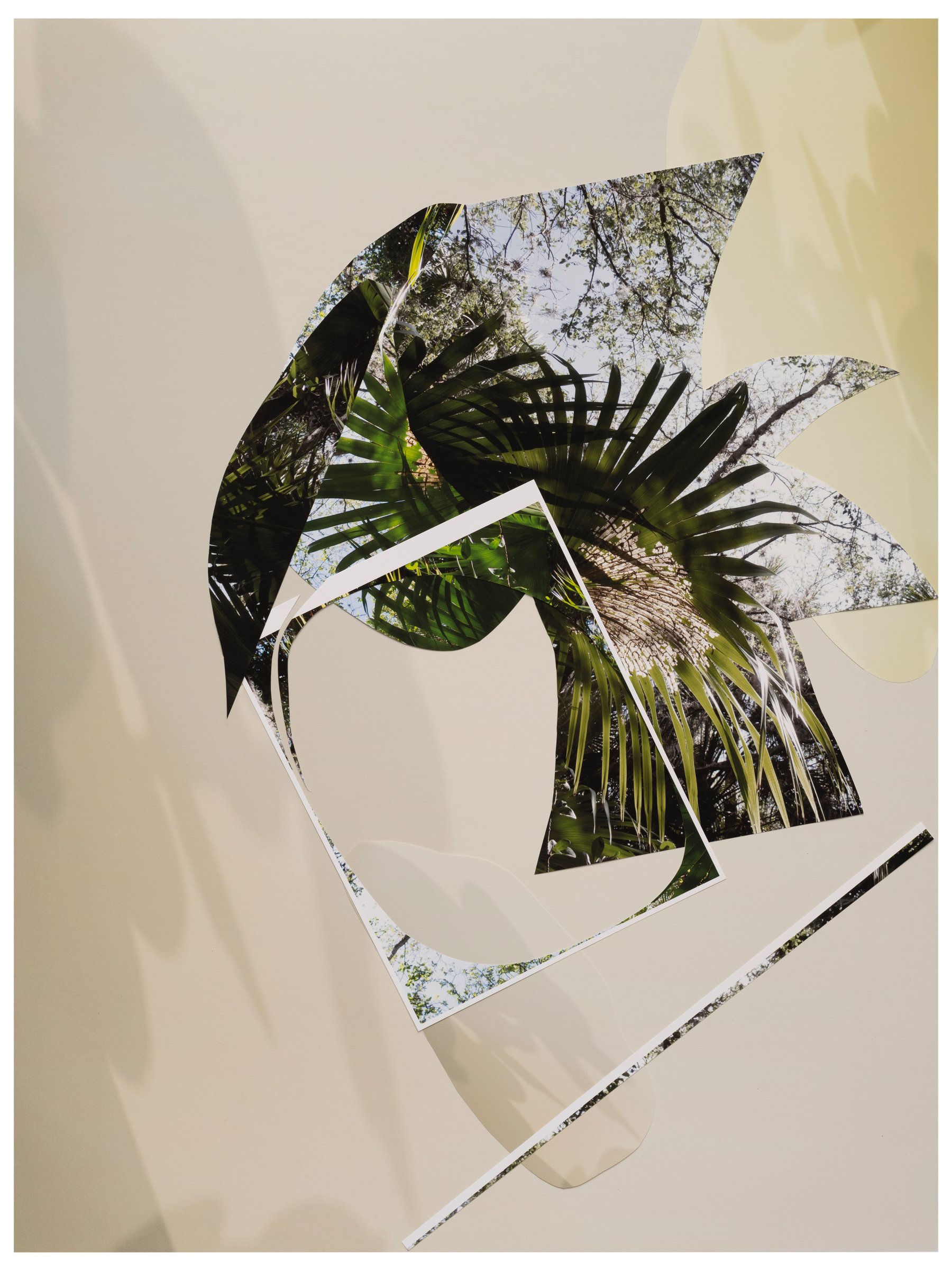 Image for Sandi Haber Fifield: As Birdsongs Emerge and The Certainty of Nothing, at Yancey Richardson Gallery