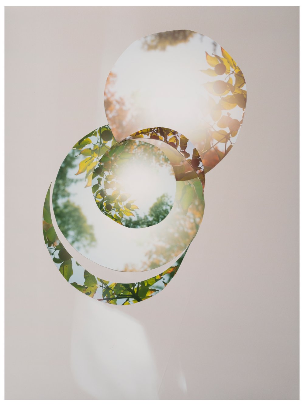 Sandi Haber Fifield, BE20_365, 2020