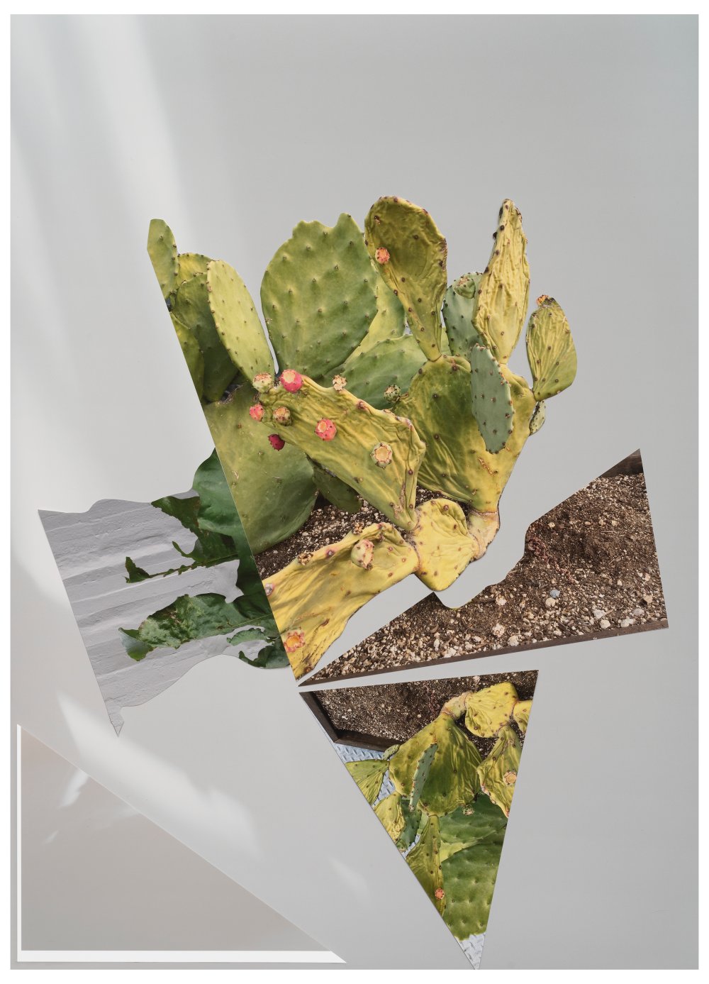 Sandi Haber Fifield, BE20_369, 2020