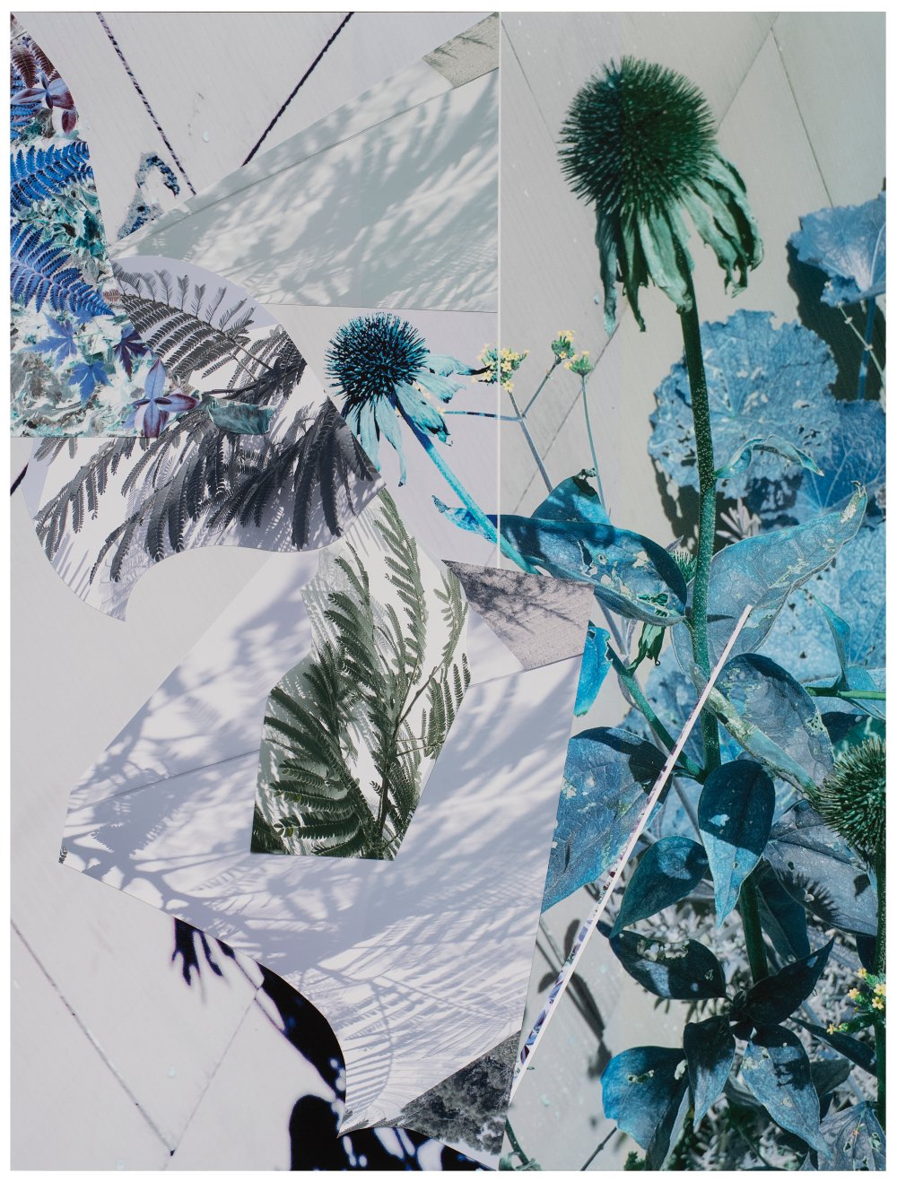 Sandi Haber Fifield, BE20_379, 2020