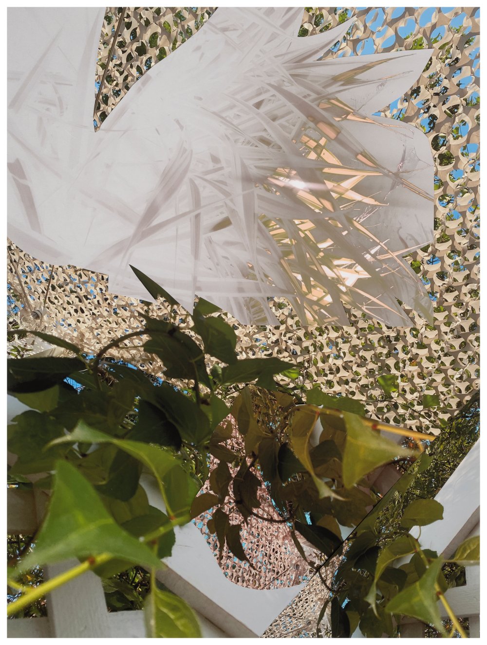 Sandi Haber Fifield, BE20_380, 2020