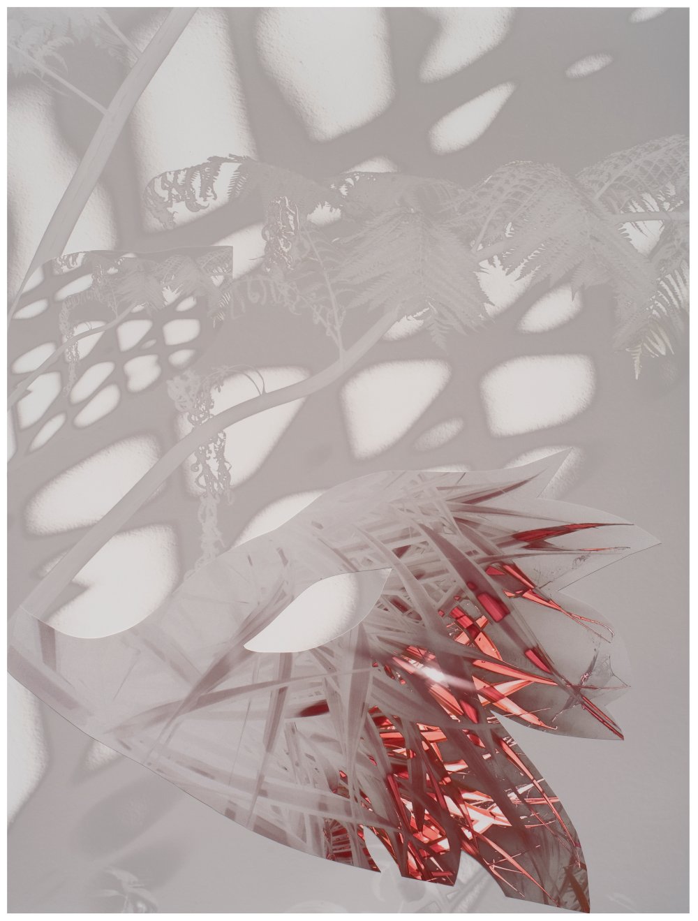 Sandi Haber Fifield, BE20_384, 2020