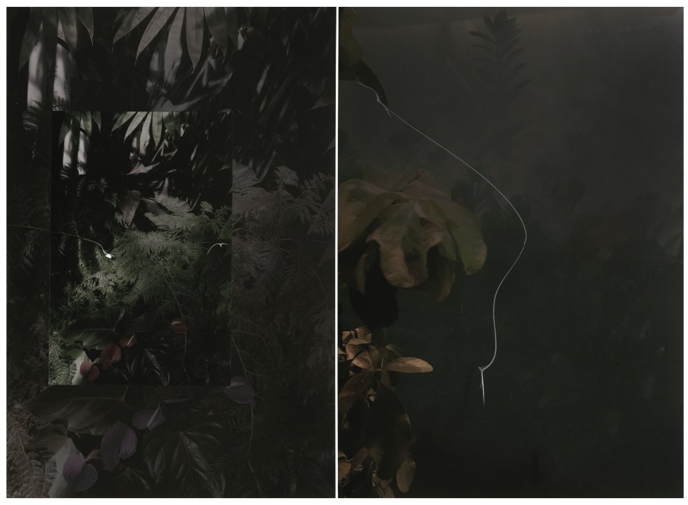 Sandi Haber Fifield, GD19_280, 2019