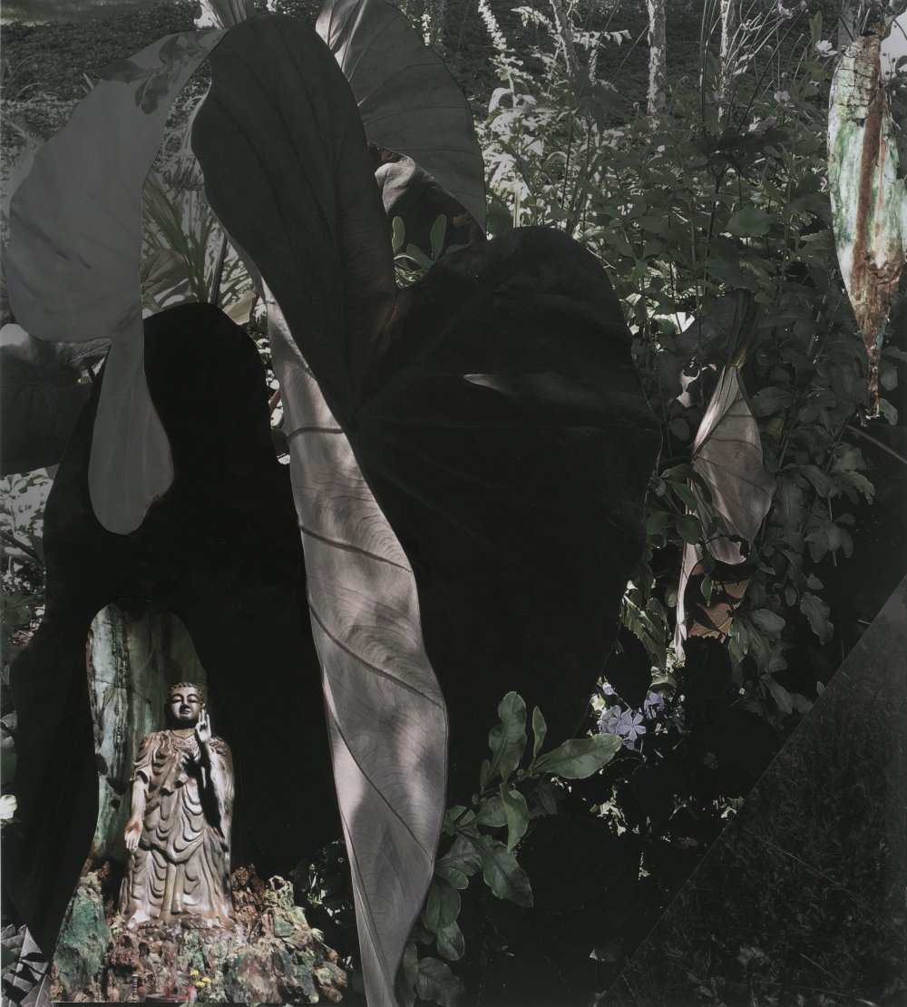 Sandi Haber Fifield, GD19_291, 2019