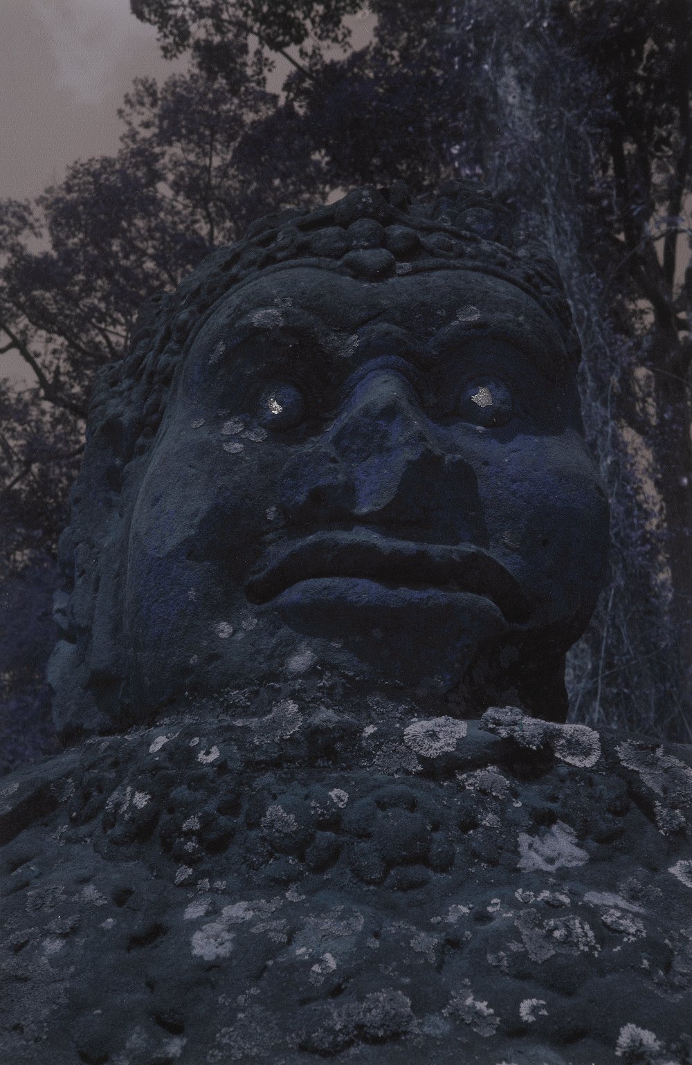 Sandi Haber Fifield, GD19_305, 2019