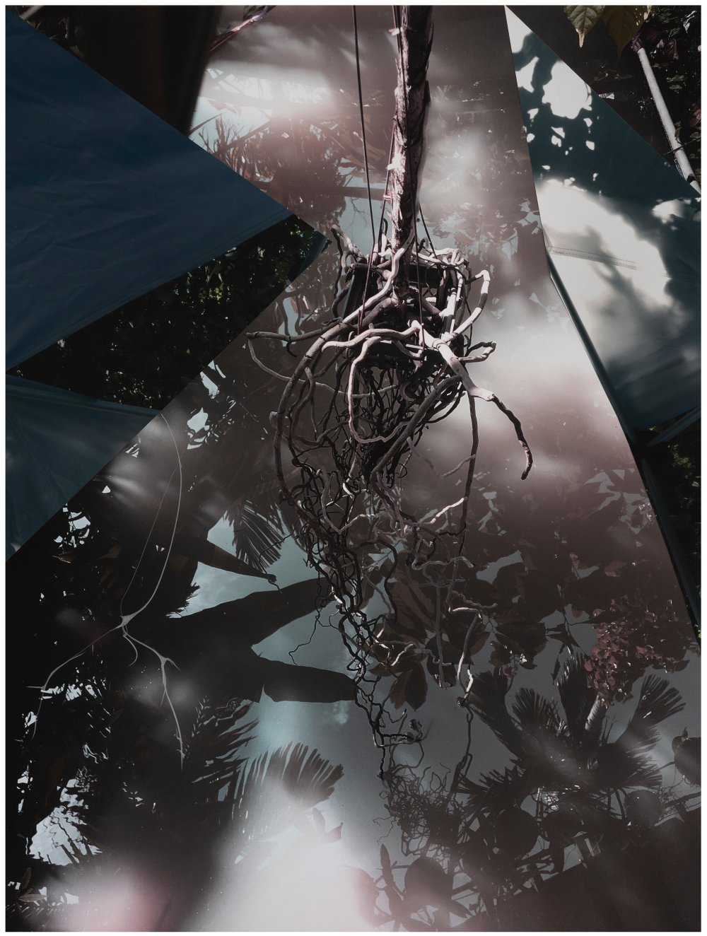 Sandi Haber Fifield, GD20_316, 2020