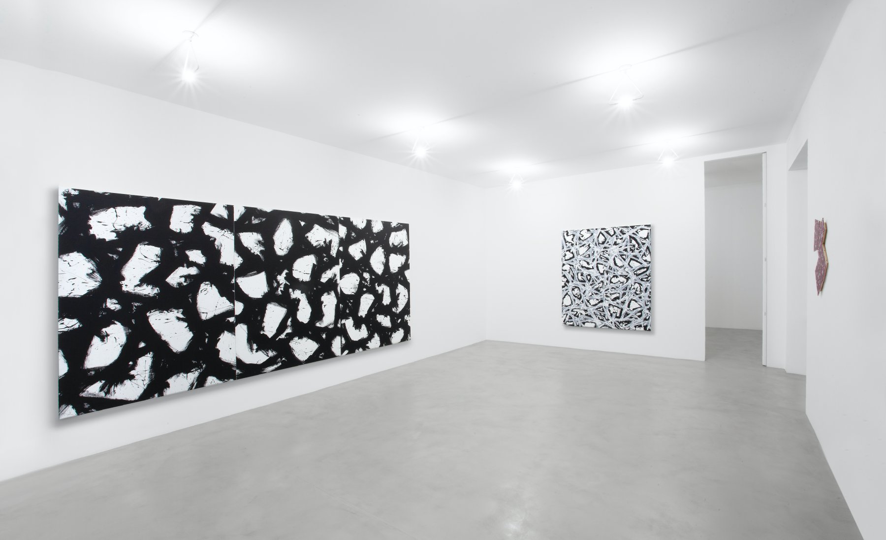 Image for Gianni Asdrubali. Interazione inconsulta, at A arte Invernizzi