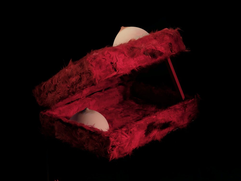 Lygia Pape, Mala Tupinambá, 2000
