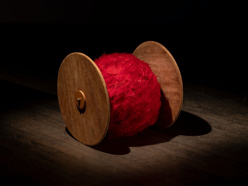Lygia Pape, Bola com Rodas, 2000