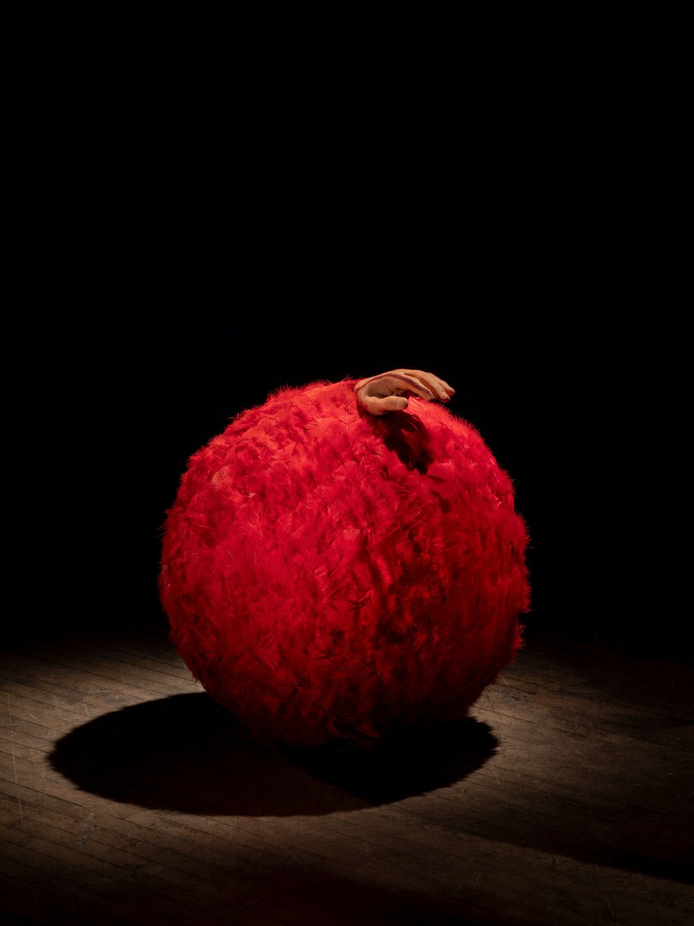 Lygia Pape, Memória Tupinambá, 2000