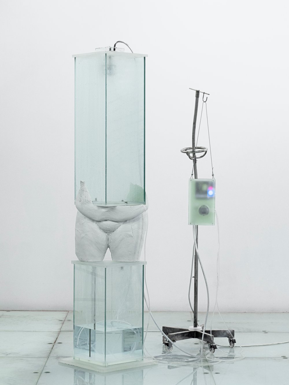 Hugo Servanin, Géant #22, 2021