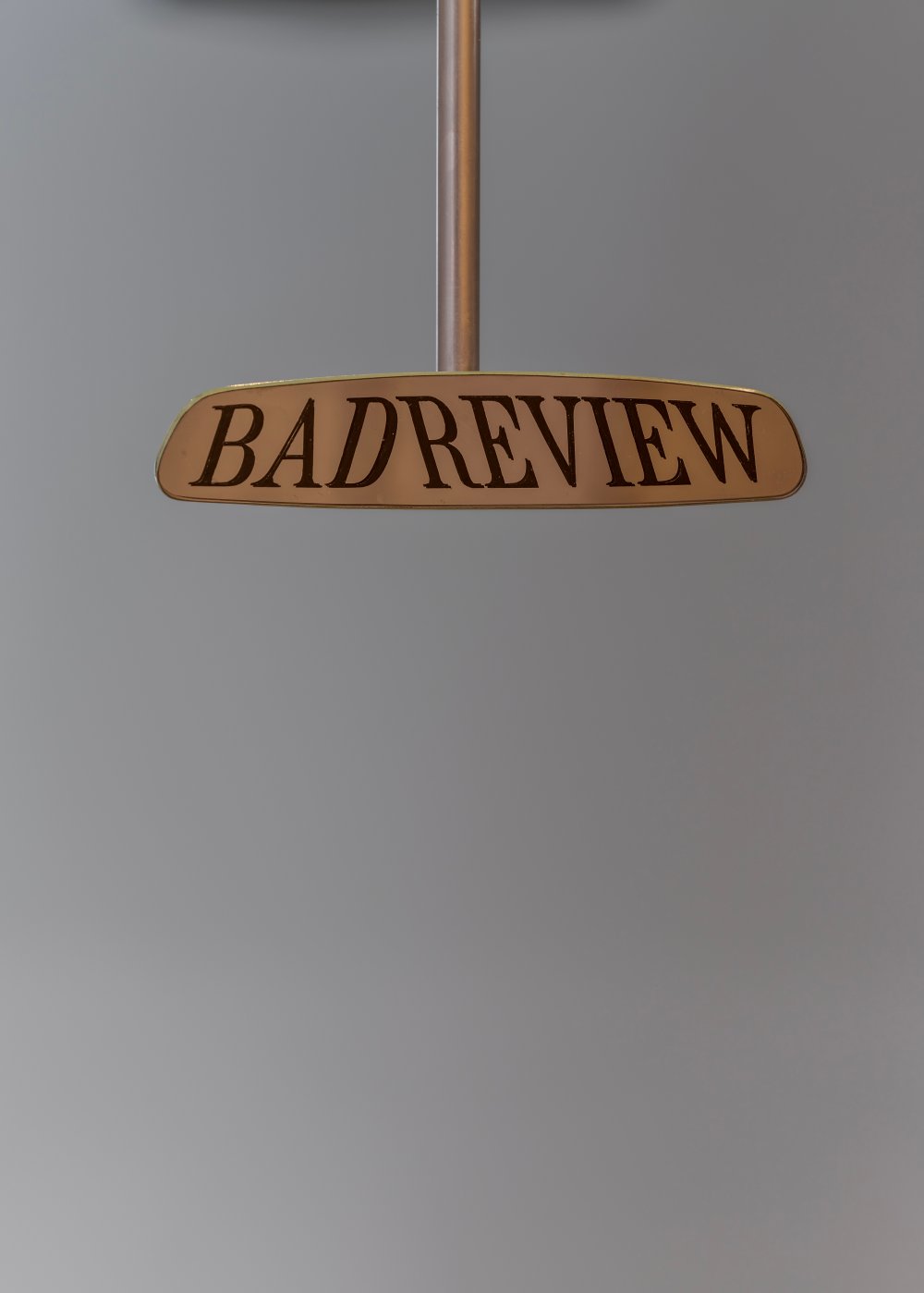 Fiona Banner aka The Vanity Press, Bad Review, 2021