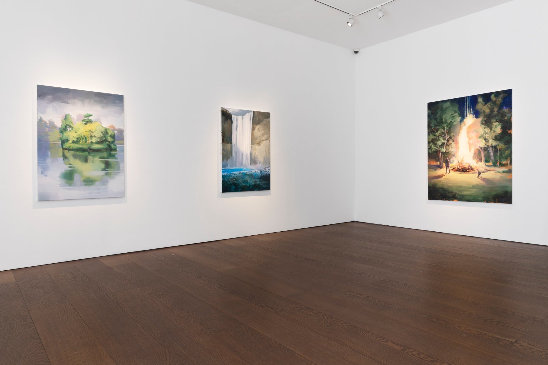 Image for Tai Shan Schierenberg: Figuring the Landscape, at Flowers Gallery, Cork Street
