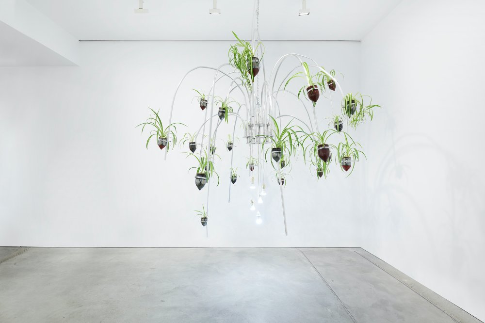 Jeffrey Meris, Catch A Stick of Fire, 2021
