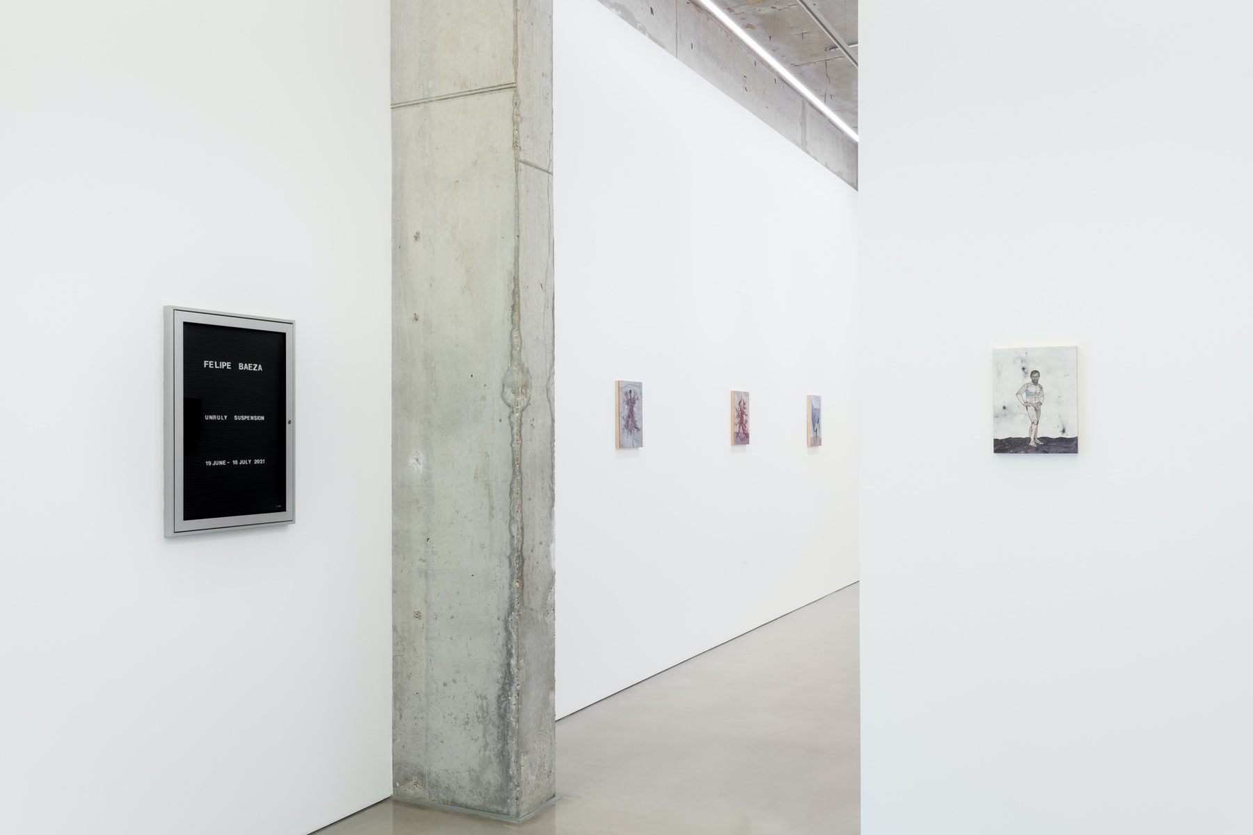 Image for Felipe Baeza: Unruly Suspension, at Maureen Paley